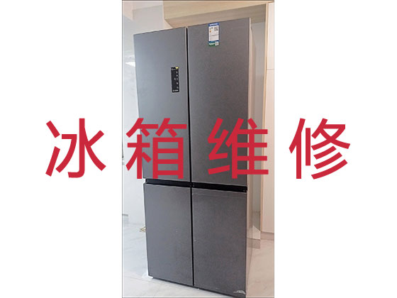 鄂州专业冰箱安装